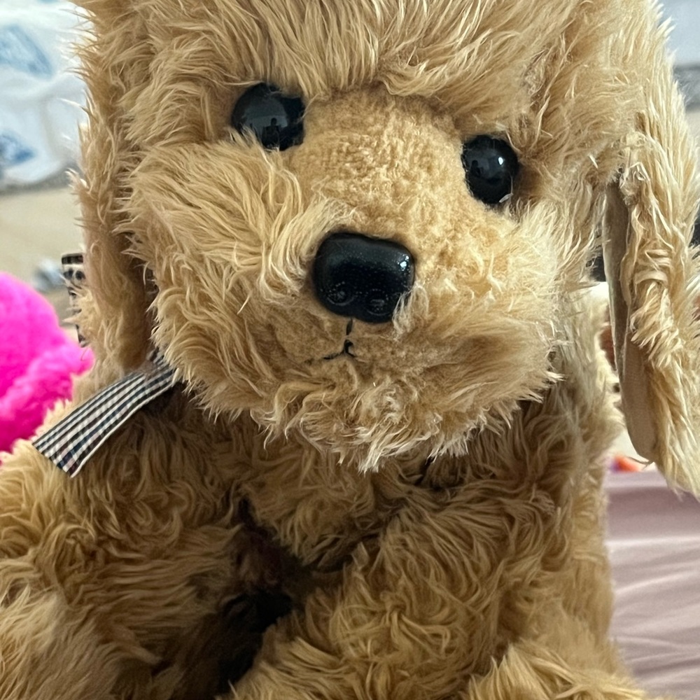 Stuffed animal